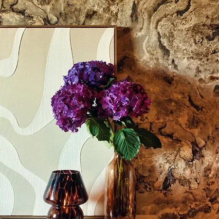 Sosiego Parking Free Jacuzzi Privée 5min Centre *